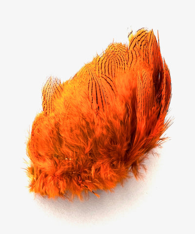 Silver Pheasant Feathers