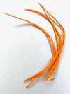 Stripped Goose Biot
