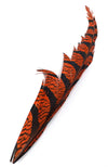 Lady Amherst Tail