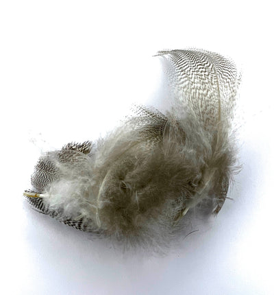 Hareline Mallard Flank