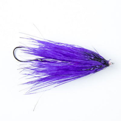 Fish Taco - Purple
