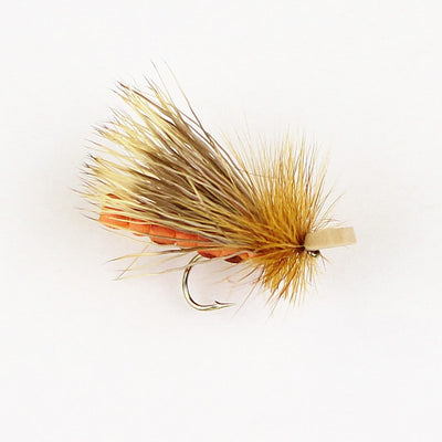 Morrish October Caddis Adult