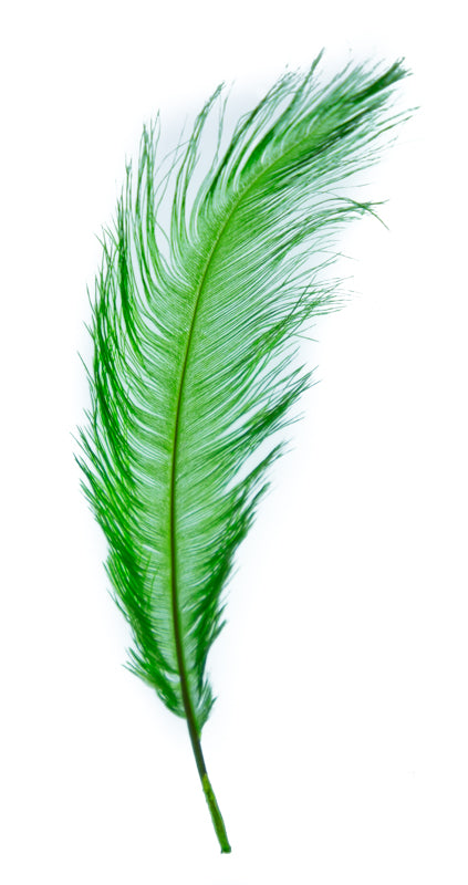 MFC Ostrich Plumes - Ashland Fly Shop
