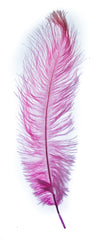 mfc ostrich pink