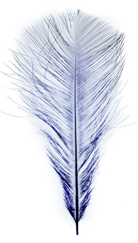 Barred Ostrich Plumes - Royal Treatment Fly Fishing
