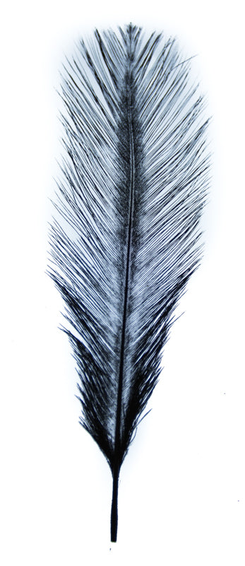 Ashland® Feather, Ostrich, Ivory