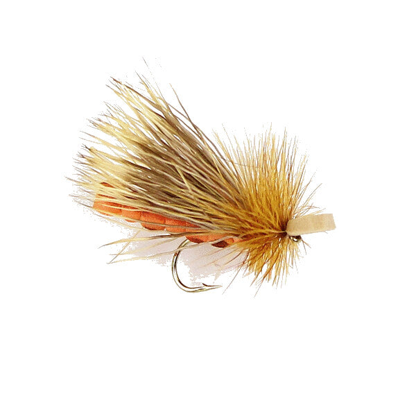 Morrish October Caddis Adult