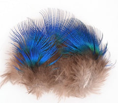 WellieSTR 5styles Peacock Feather Blue Neck&Gold Body&Swords&Tails&Stripe  Fly Tying Feathers for Numerous Fly Bodies