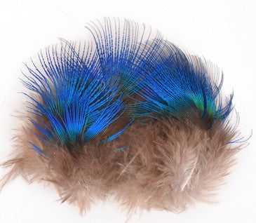 STRUNG PEACOCK HERL - Fly Tying Feathers - 6-8 In. Long - KINGFISHER BLUE -  NEW!
