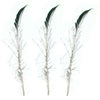 Peacock Sword Feathers