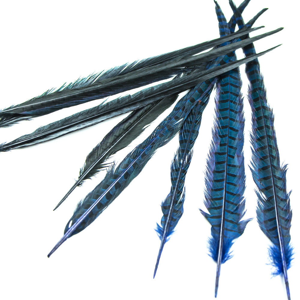 Ringneck Pheasant Tail Feathers