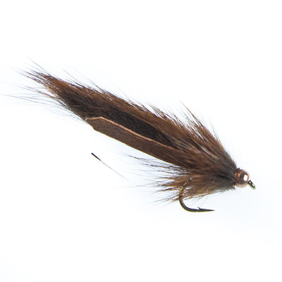 Pine Squirrel Leech