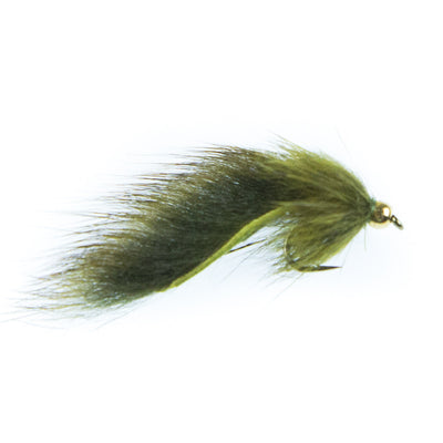 Pine Squirrel Leech