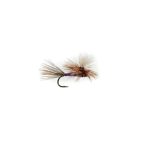 Purple Parachute Adams | Ashland Fly Shop