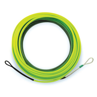 Airflo Skagit F.I.S.T. Head