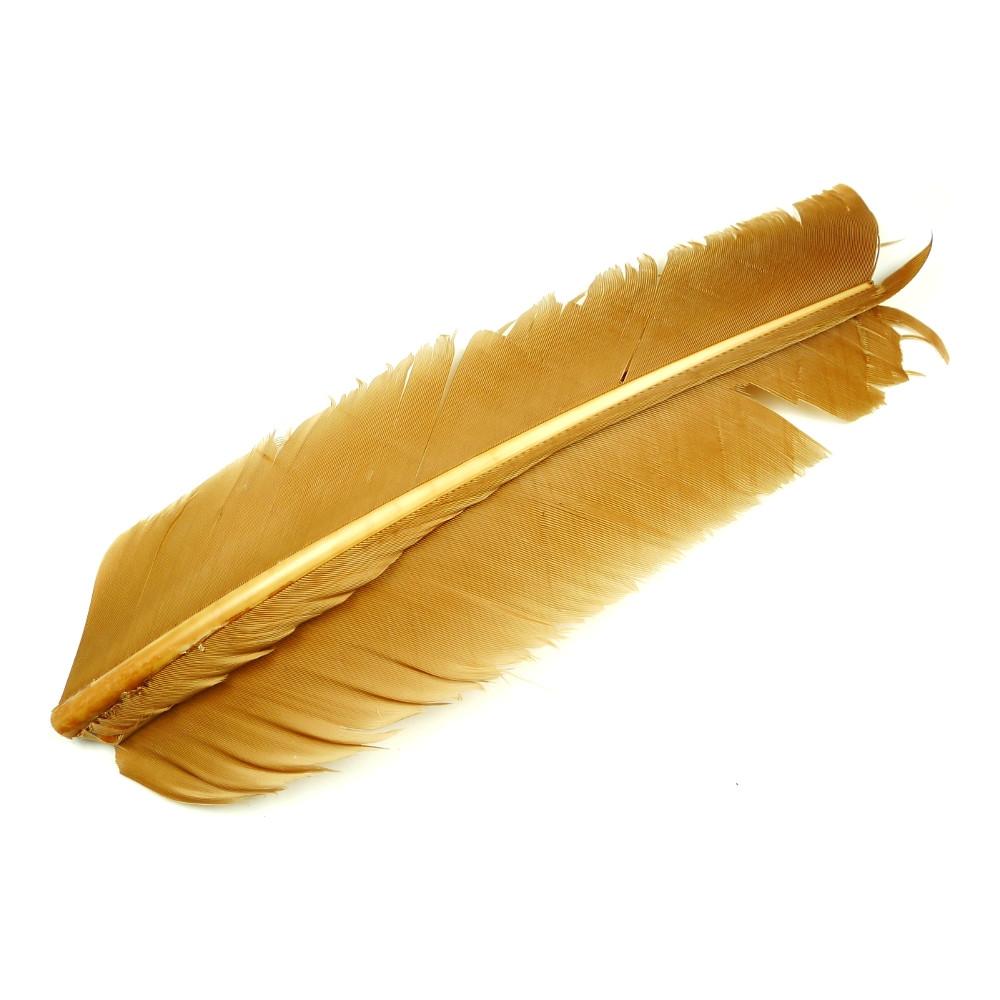 Turkey Biot Quills