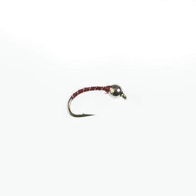 Zebra Midge